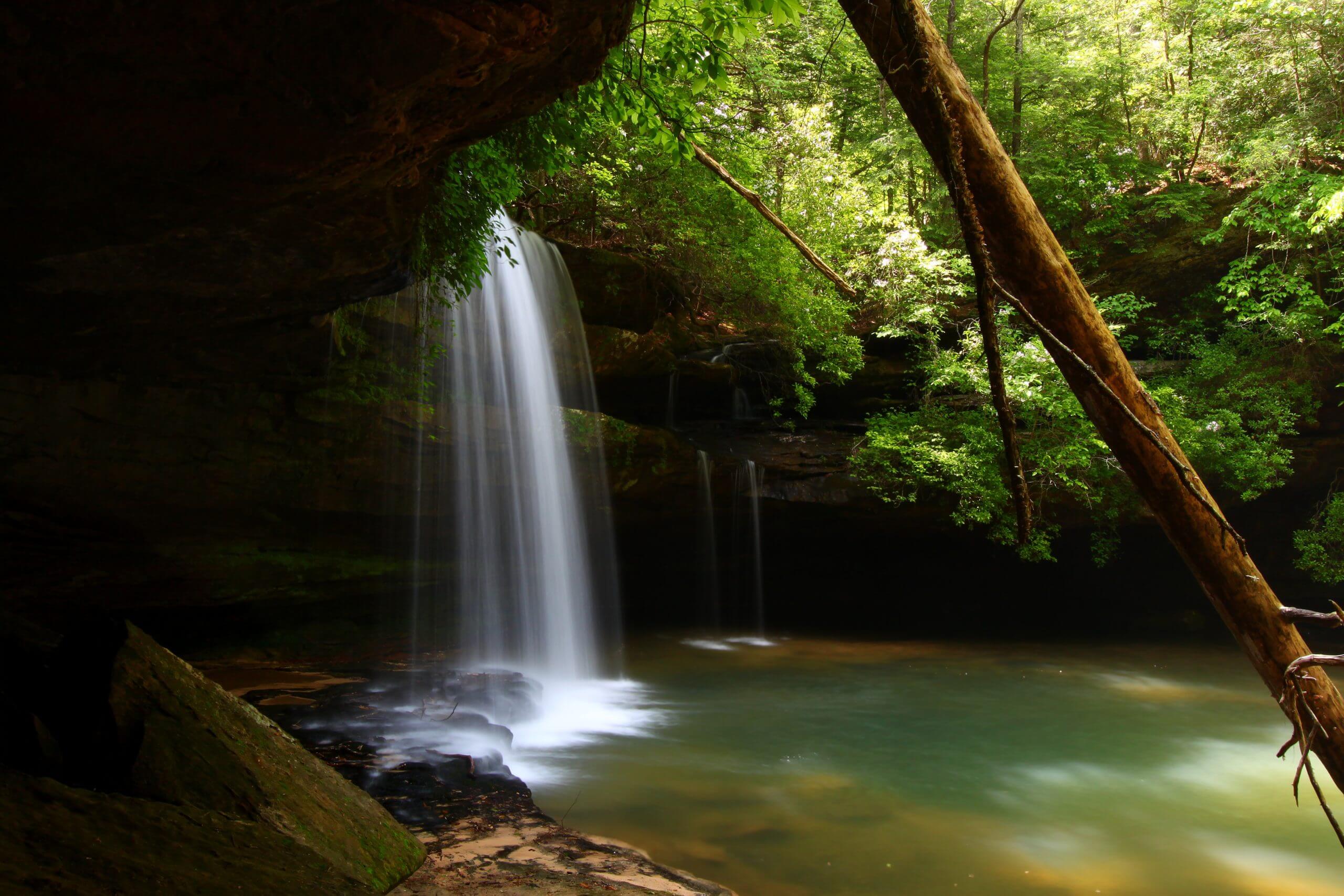 alabama-bankhead-national-forest-337142444 Bankhead National Forest