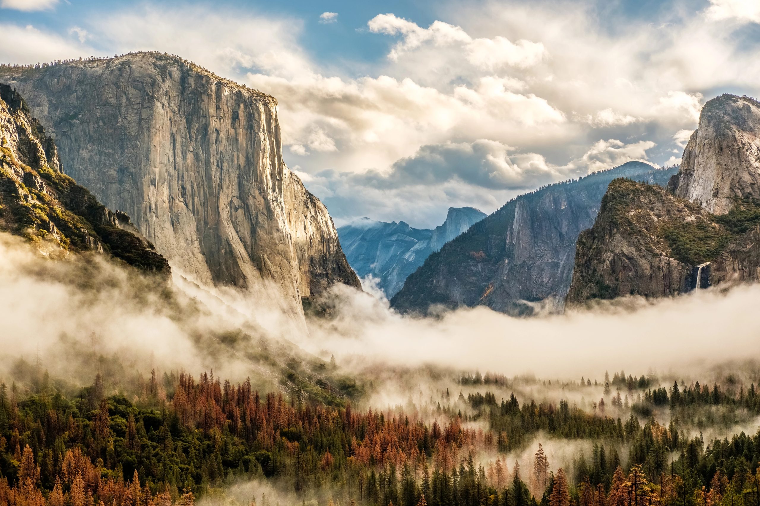 Yosemite National Park