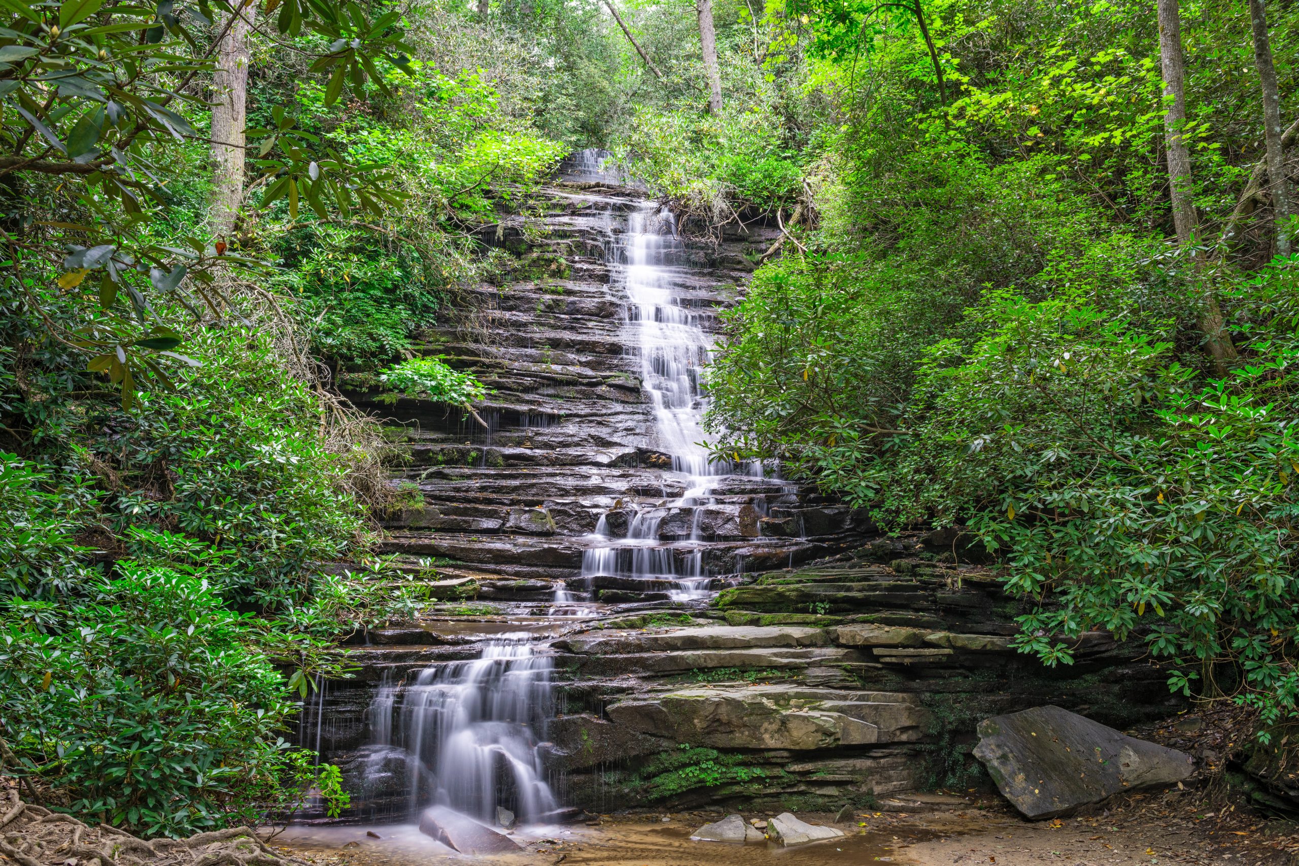 georgia-tallulah-gorge-412312686 Tallulah Gorge