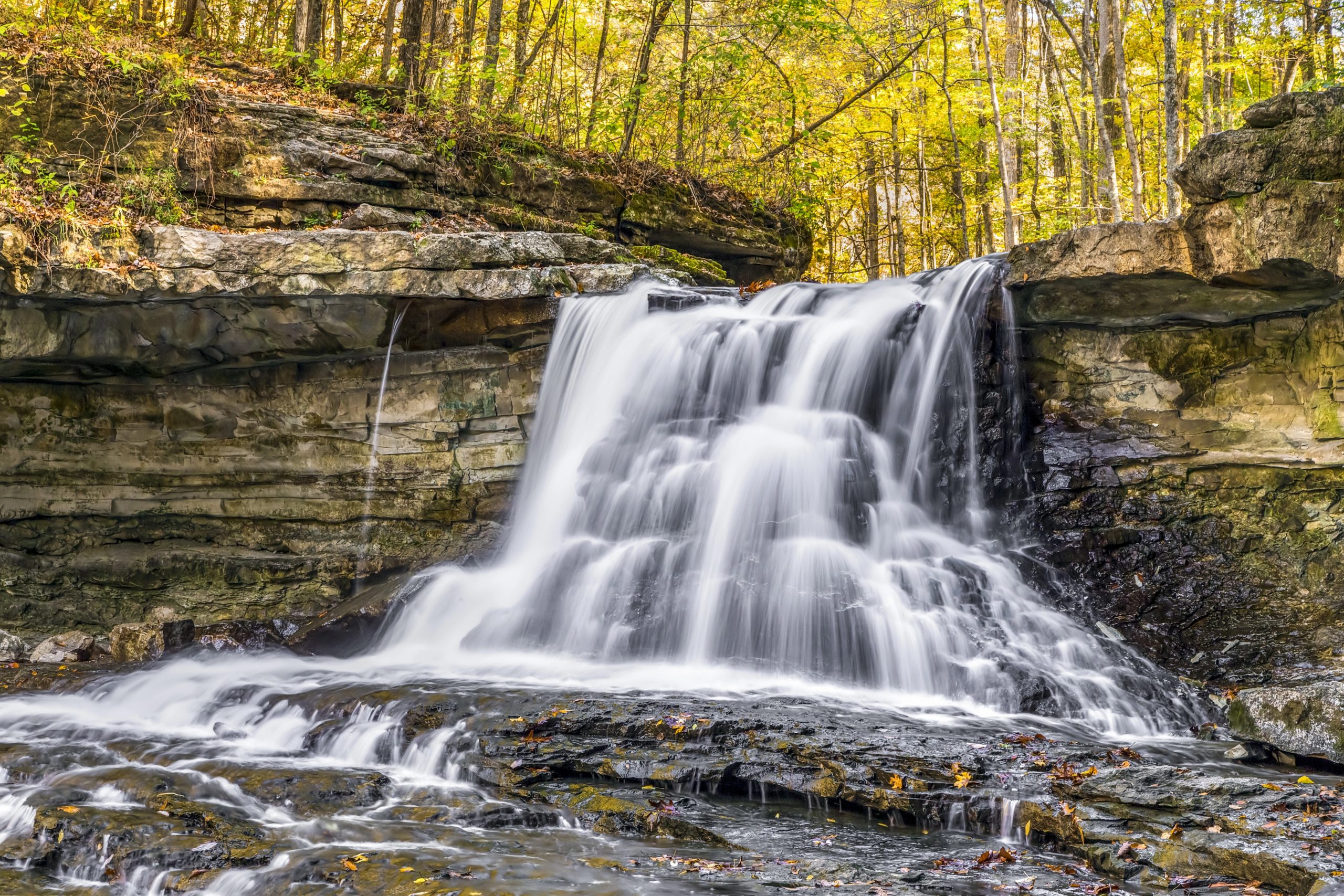 McCormick's Creek State Park