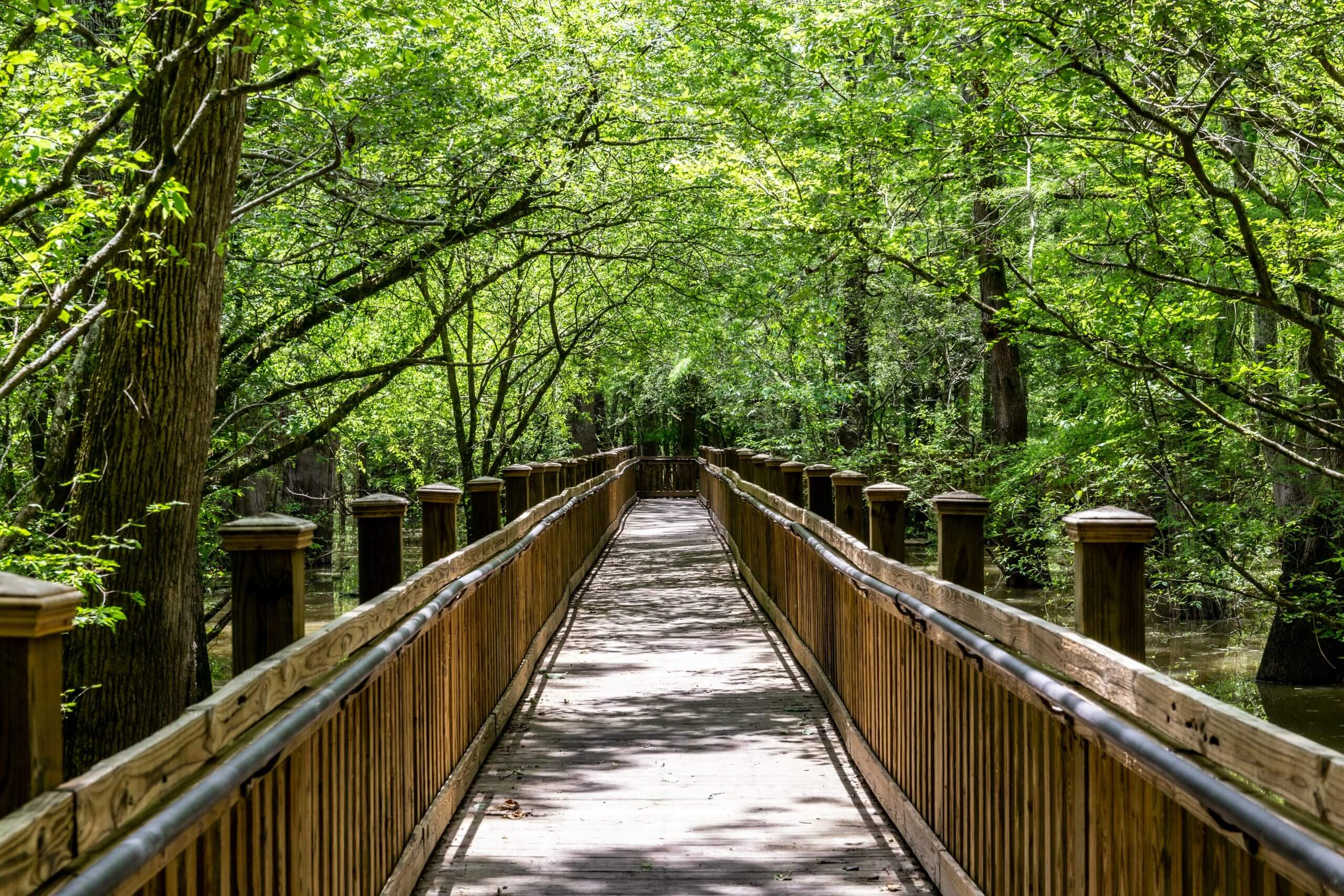 justin-wilkens-anh5gMfrIY0-unsplash