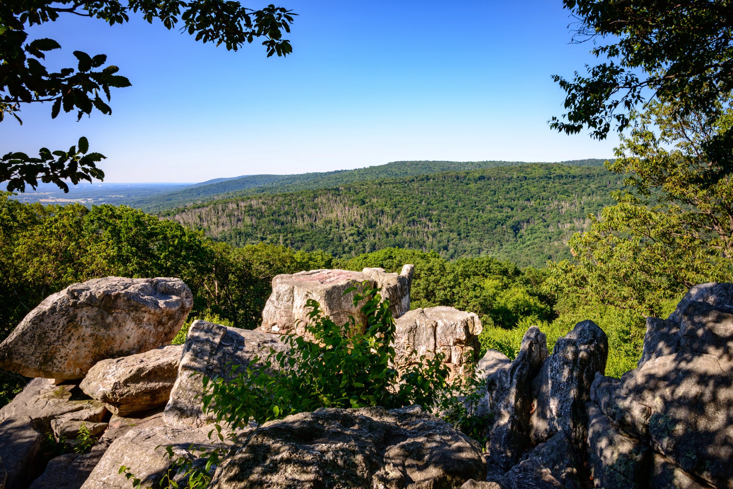 maryland-catoctin-mountain-park-210872718 Catoctin Mountain Park