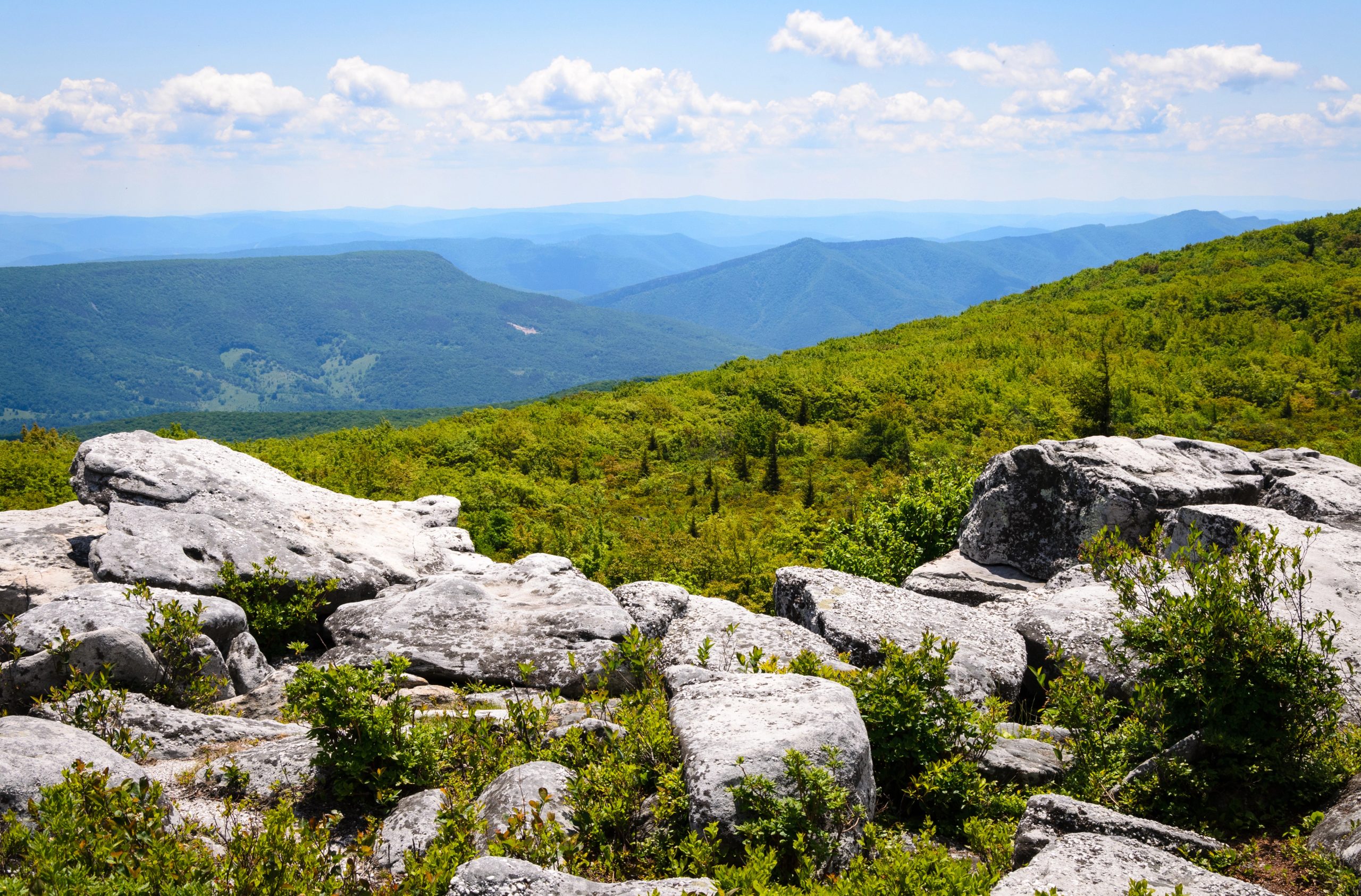 Spruce Knob