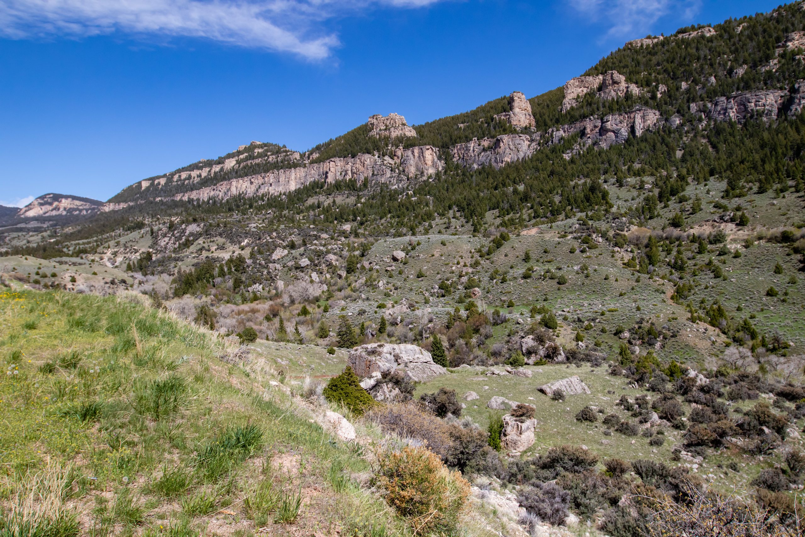 Bighorn National Forest, Wyoming in late May Bighorn National Forest